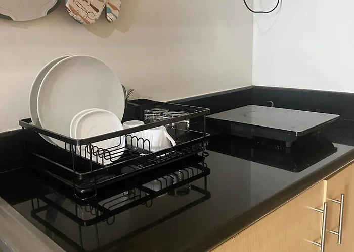 1 Bedroom Scenic View Grass Residences Sm North Apartment Manila